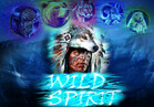 Wild Spirit