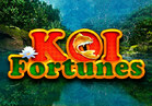 Koi Fortunes