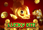 Lucky Koi