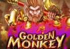 Golden Monkey