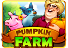 Pumpkin Farm