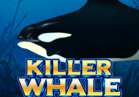Killer Whale