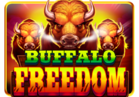 Buffalo Freedom