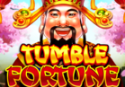 Fortune Tumble