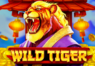 Wild Tiger