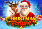 Christmas Fortune