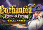 Enchanted: Forest of Fortune