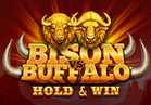 Bison vs Buffalo