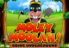 Moley Moolah Going Underground
