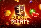 Book Of Plenty