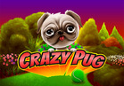 Crazy Pug