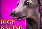 Iggy Racing