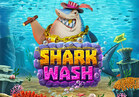 Shark Wash