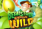 Beanstalk Grows Wild