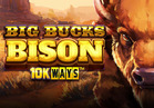 Big Bucks Bison 10K WAYS