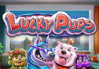 Lucky Pups