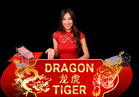 Dragon Tiger Live