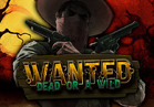 Wanted Dead or a Wild