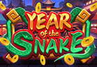 Year of The Snake