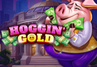 Hoggin’ Gold