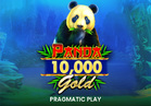Panda Gold 10,000