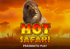 Hot Safari