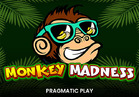 Monkey Madness