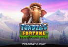 Tundra’s Fortune