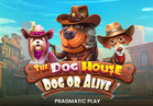 The Dog House – Dog or Alive