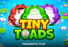 Tiny Toads