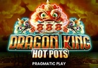 Dragon King Hot Pots