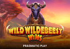 Wild Wildebeest Wins