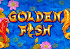 Golden Fish