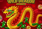 Wild Dragon HOLD&WIN