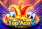 Top Ace 2
