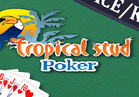 Tropical Stud Poker