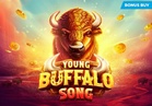 Young Buffalo Song