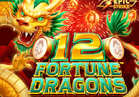 12 Fortune Dragons