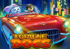 Fortune Dogs