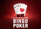 Bingo Poker