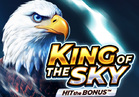 King of the Sky: Hit the Bonus™
