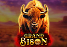 Grand Bison