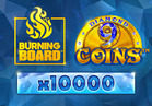 9 Coins™ Diamond Burning Board™